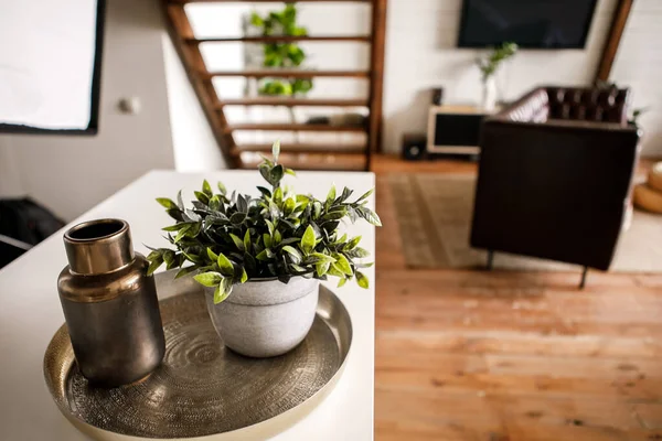 Dapur Modern Yang Indah Dan Ruang Tamu Dengan Item Interior — Stok Foto
