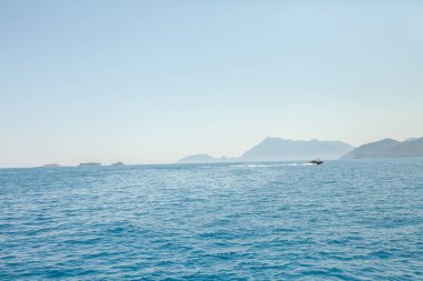 Karadeniz 'de sürat teknesi. Türk kıyısı. Deniz manzarası. Hindi. Kemer 'deki Turizm Köyü