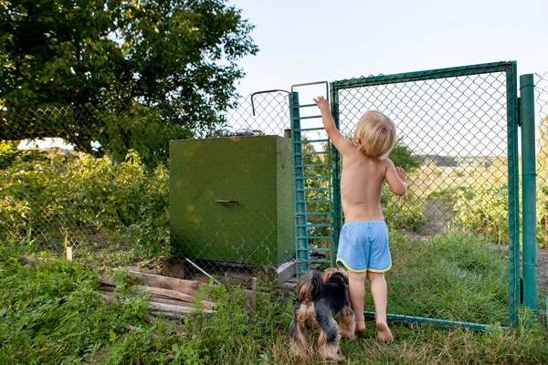 Little boy runs away to the garden with his dog. Happy boy with a beautiful dog