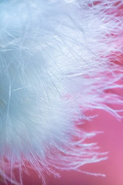 Halus putih bulu angsa pada latar belakang merah muda. Fokus yang kabur. Fokus selektif. defocus — Stok Foto