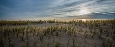 Hollanda Plajı'nda canlı günbatımı