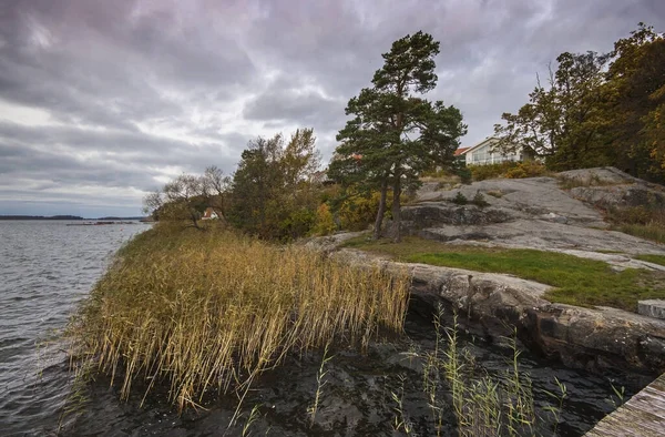 Swedia Pantai Berbatu Danau Musim Gugur Sore — Stok Foto