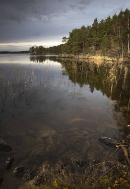 Kaya gibi büyümüş göl kıyısında bulutlu bir gökyüzünün altında