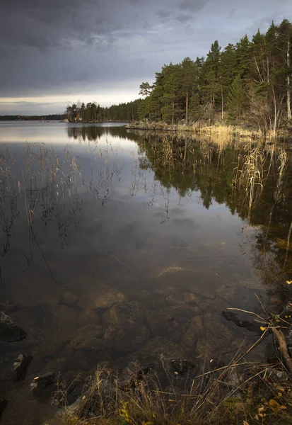 Kaya gibi büyümüş göl kıyısında bulutlu bir gökyüzünün altında