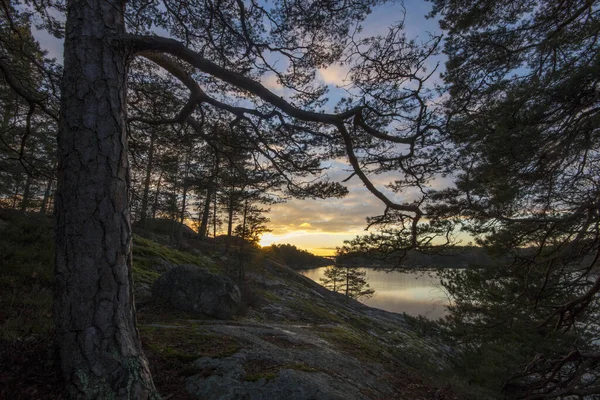 Solnedgång Himmel Över Sommaren Sjön — Stockfoto