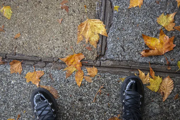 Folhas Outono Caídas Botas Pretas Pavimento Granito Molhado — Fotografia de Stock
