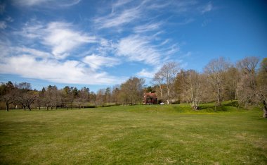 Mavi gökyüzü, yeşil bir açıklığın üzerinde beyaz bulutlar ve kırmızı bir köy evi.