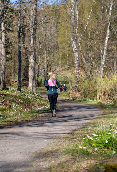 Sweden. Girl jogging on a forest path in the morning