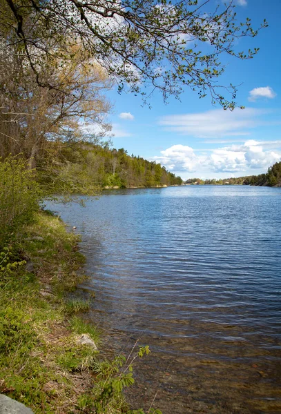 Sweden. Lake shore under a blue spring sky