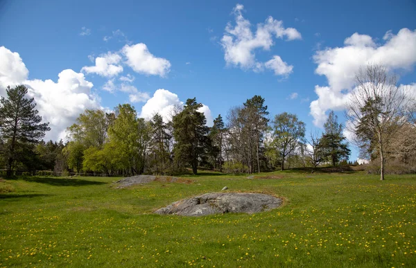 Suecia Pradera Verde Bajo Cielo Azul Nublado Mañana Primavera — Foto de Stock