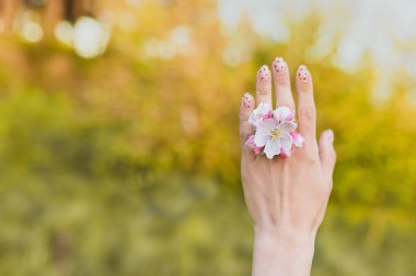 Elinde çiçek açmış bir elma ağacının yüzüğünü gösteren bir kız. Bahar, neşe, mutluluk, yeni hayat kavramı. Kopyala arkaplan
