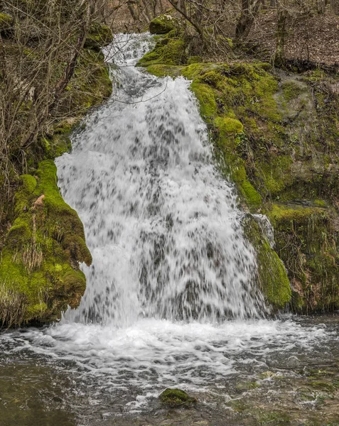 Sokobanja yakınlarındaki Ozren Dağı Tatil Köyü 'nde küçük Ripaljka şelalesi.