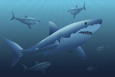 Deniz yüzeyinin altındaki büyük beyaz köpekbalıklarının yansıması. Güneş ışınlarıyla aydınlatılan bir okyanus.