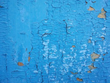 Old wooden background with remains of pieces of scraps of old paint 