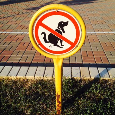 Köpeklerin buraya pislemesine izin verilmeyen bir uyarı işareti. 
