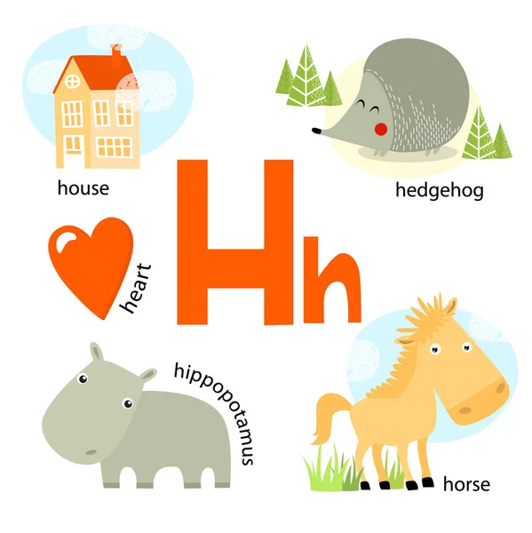 Ilustración vectorial para enseñar a los niños el alfabeto inglés con animales y objetos de dibujos animados. Carta "H". erizo, casa, corazón, hipopótamo, caballo. cartel escolar — Vector de stock