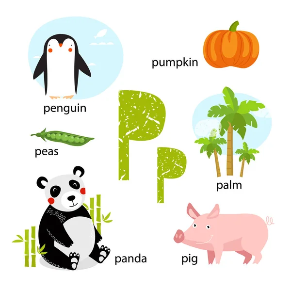 Vektor ilustrasi untuk mengajar anak-anak alfabet Inggris dengan kartun hewan dan benda. Huruf "P". panda, pohon, penguin, babi, labu, kacang polong. Sayuran, makanan. poster sekolah - Stok Vektor