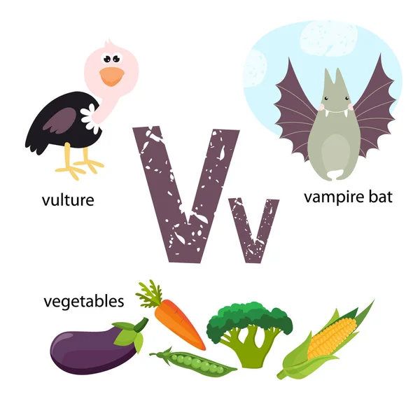 Ilustración vectorial para enseñar a los niños el alfabeto inglés con animales y objetos de dibujos animados. "V" carta. Buitre, verduras, murciélago vampiro. maíz, col, zanahorias, guisantes. Cartel, tarjeta, escuela — Vector de stock