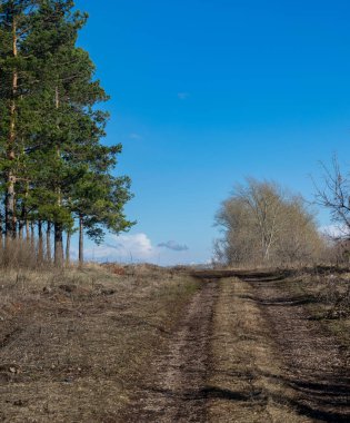 Bashkortostan 'da gökyüzüne giden yol