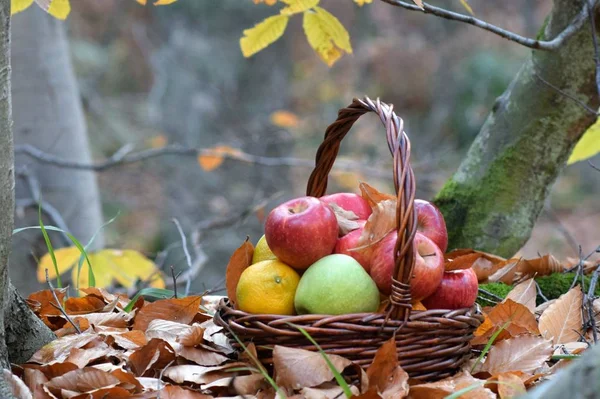 Pommes Rouges Juteuses Dans Panier Dans Nature — Photo