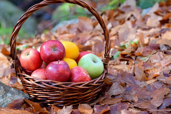 Pommes Rouges Juteuses Dans Panier Dans Nature — Photo