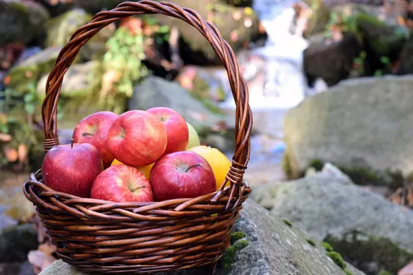 Pommes Rouges Juteuses Dans Panier Dans Nature — Photo