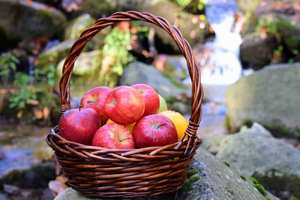 自然界中篮子里的红色多汁苹果 — 图库照片