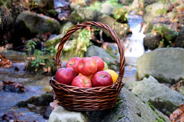 Pommes Rouges Juteuses Dans Panier Dans Nature — Photo