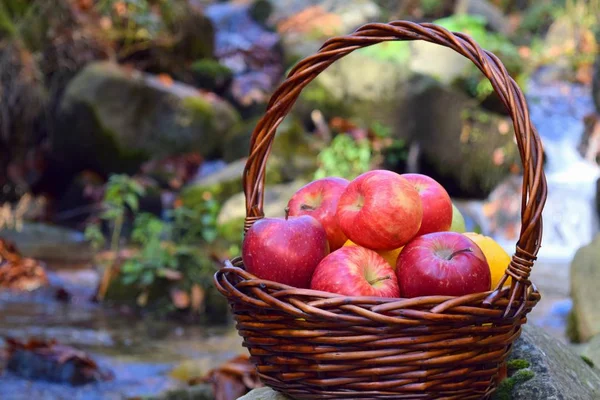 Pommes Rouges Juteuses Dans Panier Dans Nature — Photo