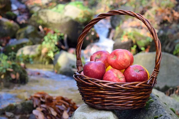 自然界中篮子里的红色多汁苹果 — 图库照片