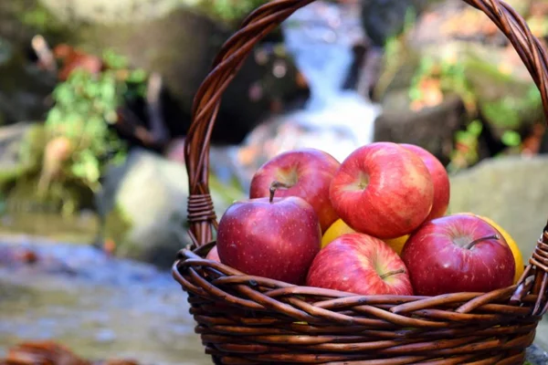 Pommes Rouges Juteuses Dans Panier Dans Nature — Photo