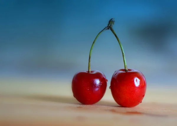 Freshly Picked Fresh Cherry Branch — Stock Photo, Image
