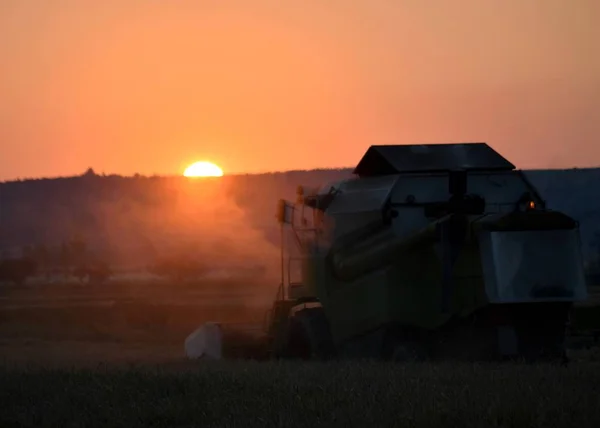 Combine harvester on the field at sunset