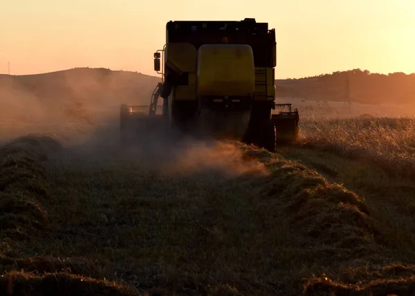Combine harvester on the field at sunset