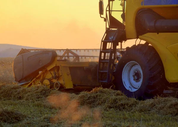Combine Harvester Field Sunset — Stock Photo, Image