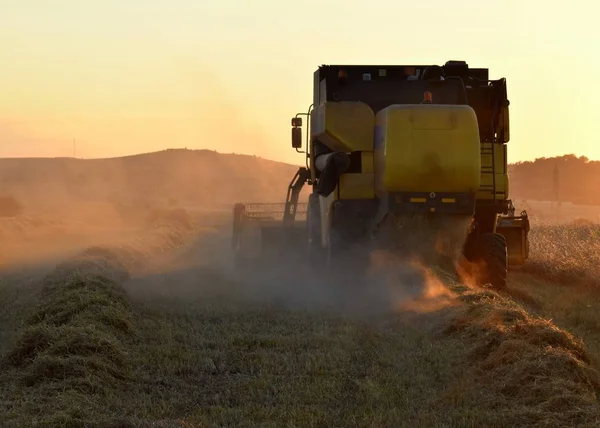 Combine harvester on the field at sunset