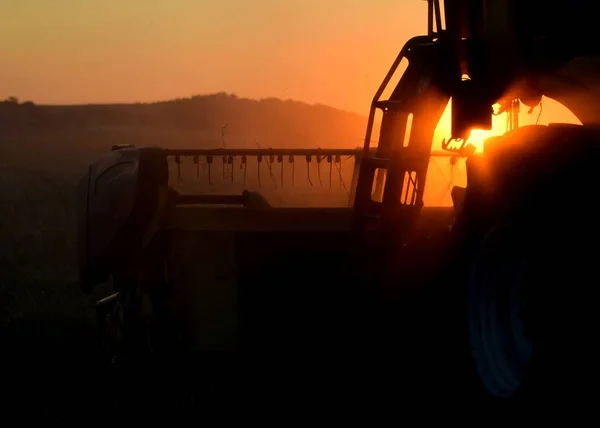 Combina Mietitrice Sul Campo Tramonto — Foto Stock