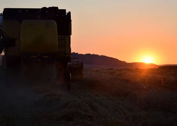 Combina Mietitrice Sul Campo Tramonto — Foto Stock