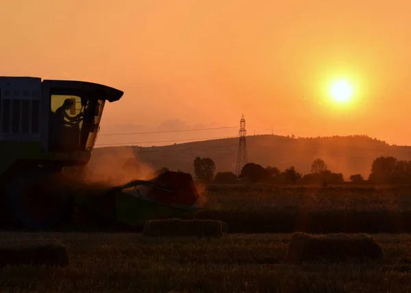Combine harvester on the field at sunset