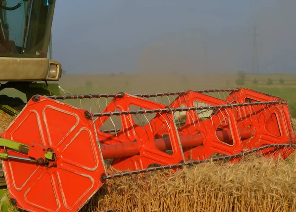 Tarlada buğday hasat eden hasatçının arka planı