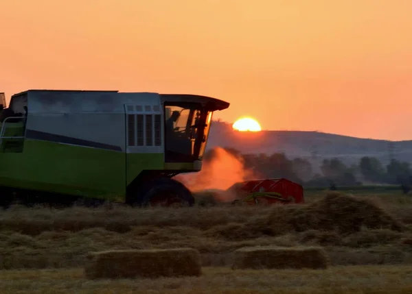 Combina Mietitrice Sul Campo Tramonto — Foto Stock