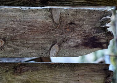 Renkli ahşap ve ahşap dokular arka plan