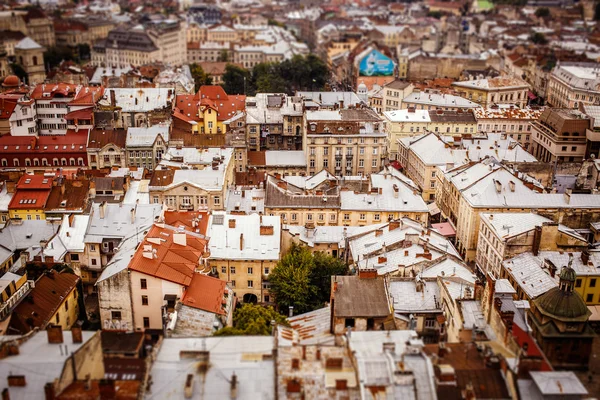 Top view on colorful roofs and houses of old European city of Lvov — Stock Photo, Image