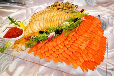 farklı balık türleri