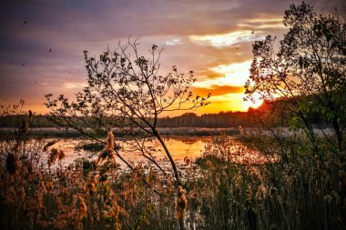 Günbatımı temiz doğal göl üzerinde