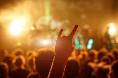 Rock konserinde tezahürat yapan kalabalık