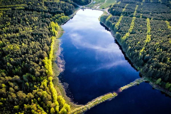 Aerial view of beautiful evening in the nature. Forest and lake from a drone — Stock Photo, Image