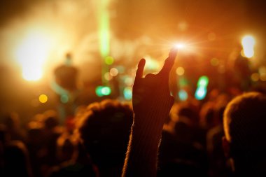 Kalabalık konser tezahürat