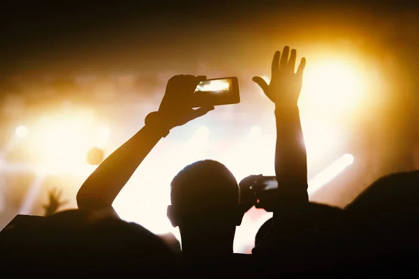 Drukte genieten van zichzelf op muziekfestival, — Stockfoto