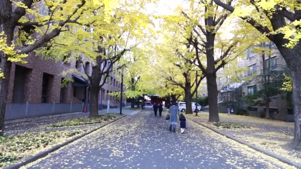 Outono Gingko Universidade Tóquio — Vídeo de Stock